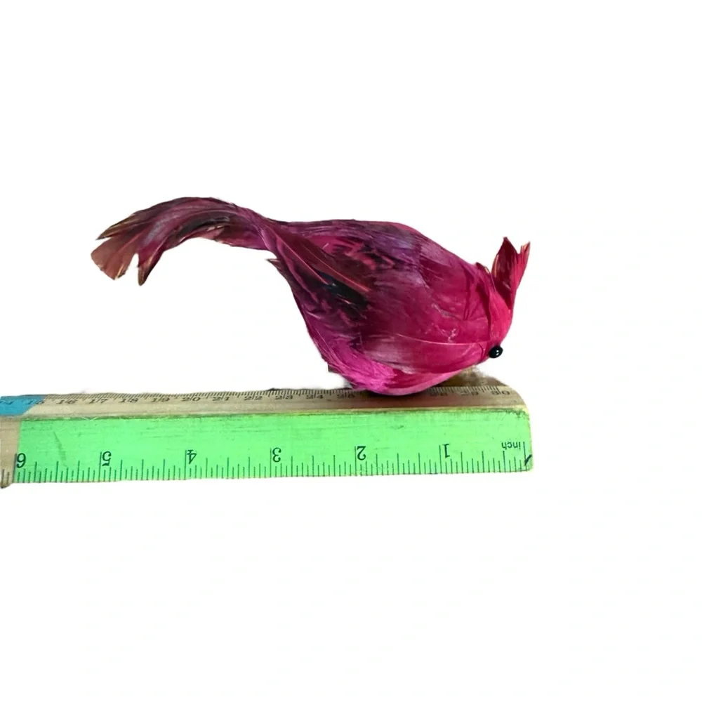 Real Feather Cardinal Craft Bird Ornaments Christmas Holiday Lot of 8 Wreath